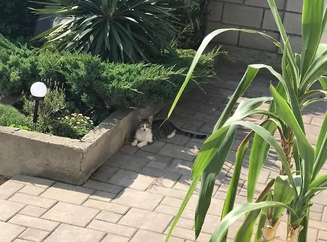 Casa Deniz Două Mai