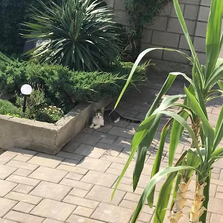 Casa Deniz Două Mai