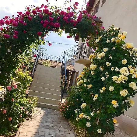 Casa Deniz Habitación en casa particular Două Mai