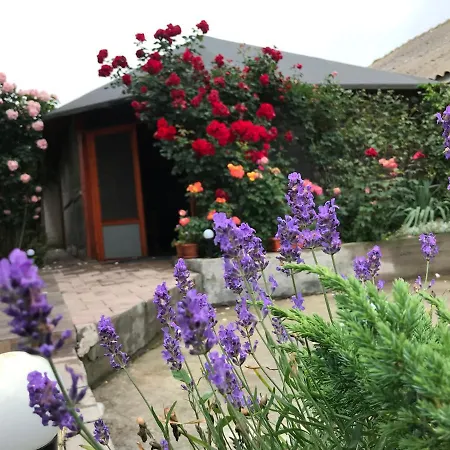 Casa Deniz Homestay szállás *