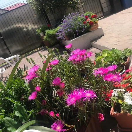 Homestay szállás Casa Deniz