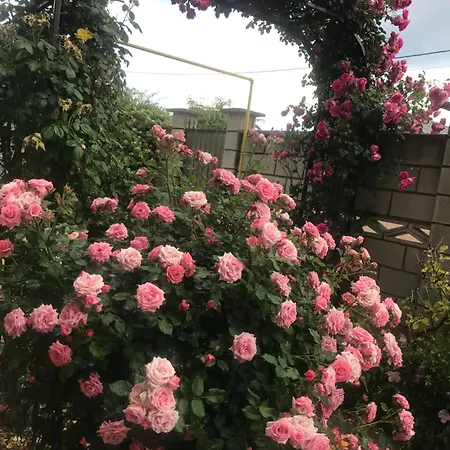 Homestay szállás Casa Deniz *