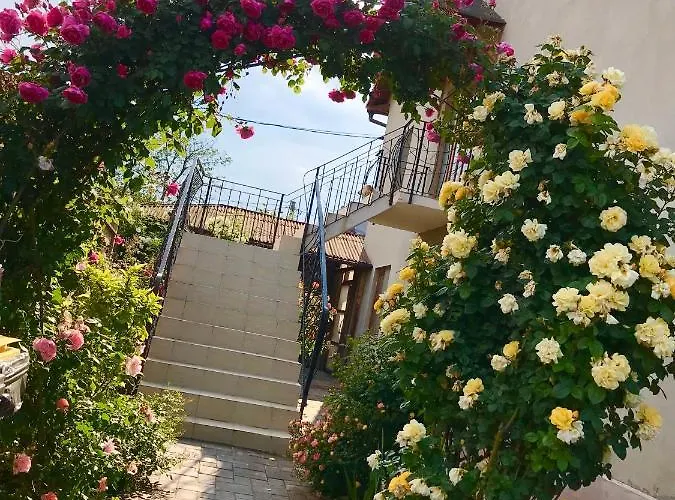 Casa Deniz Homestay szállás Două Mai