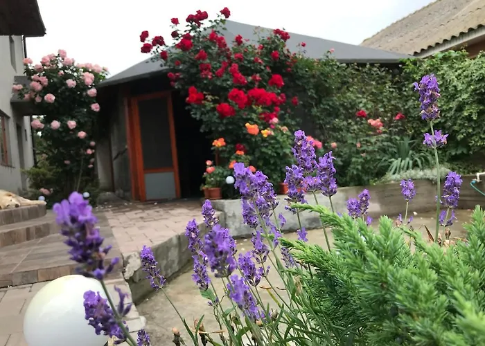 Casa Deniz Homestay szállás *