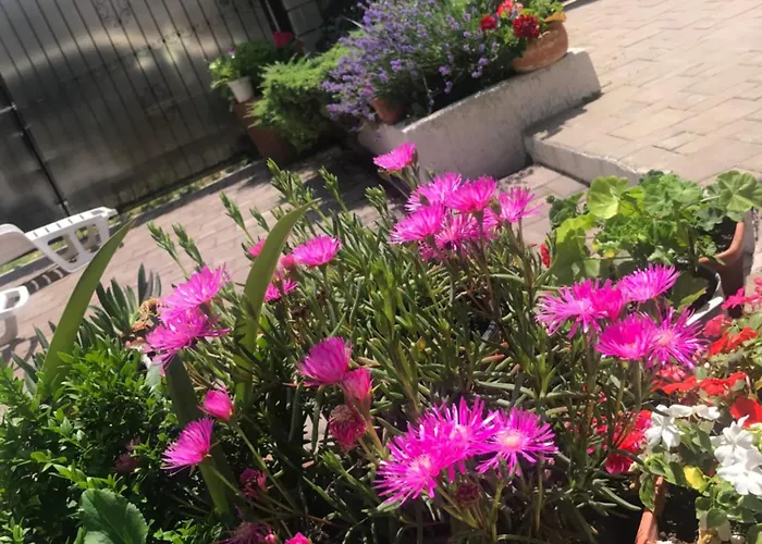 Homestay szállás Casa Deniz